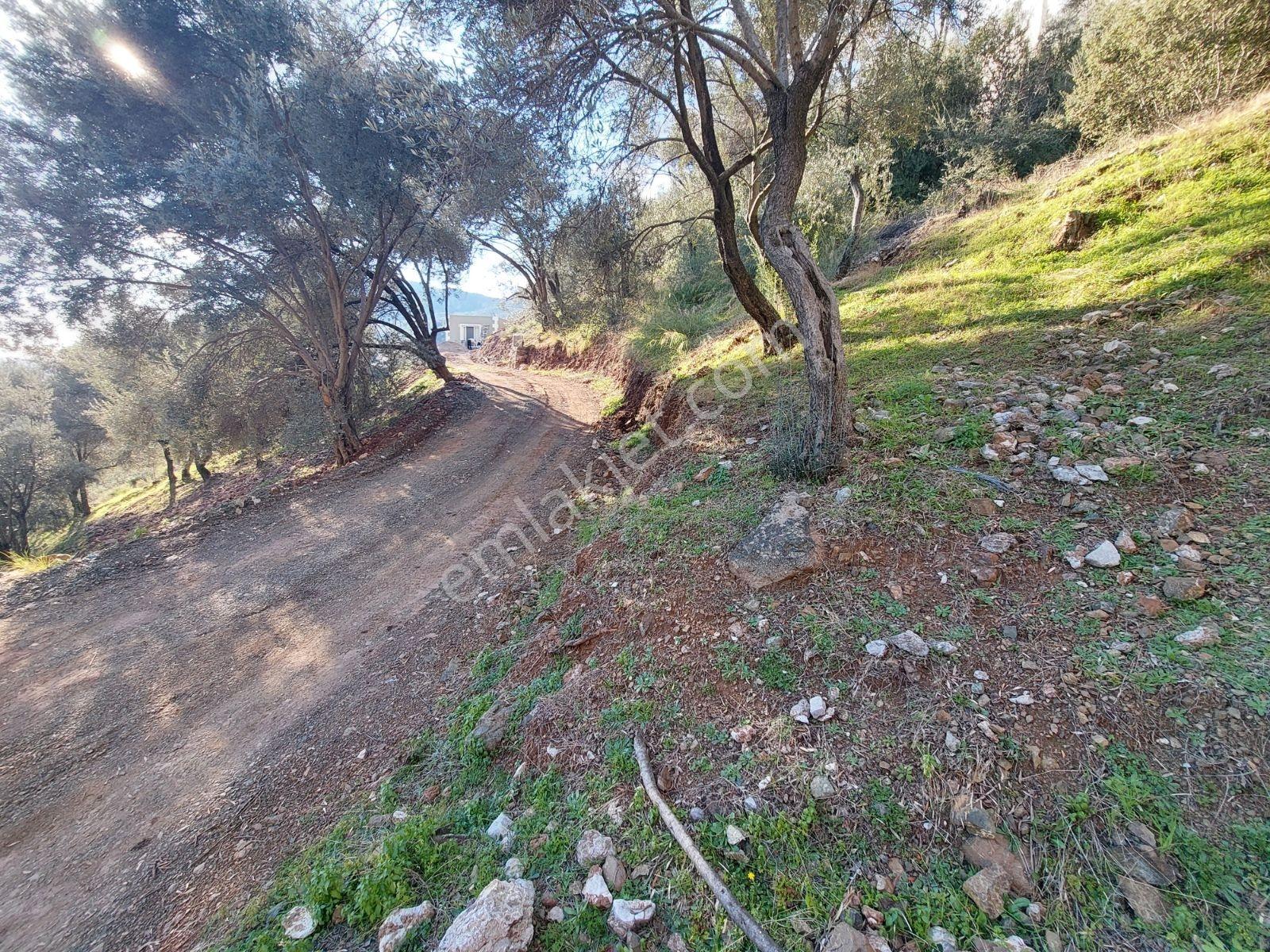 Fethiye İnlice Mh.de Satılık Mustakil 1405m2 Gayrimenkul — fotoğraf 15