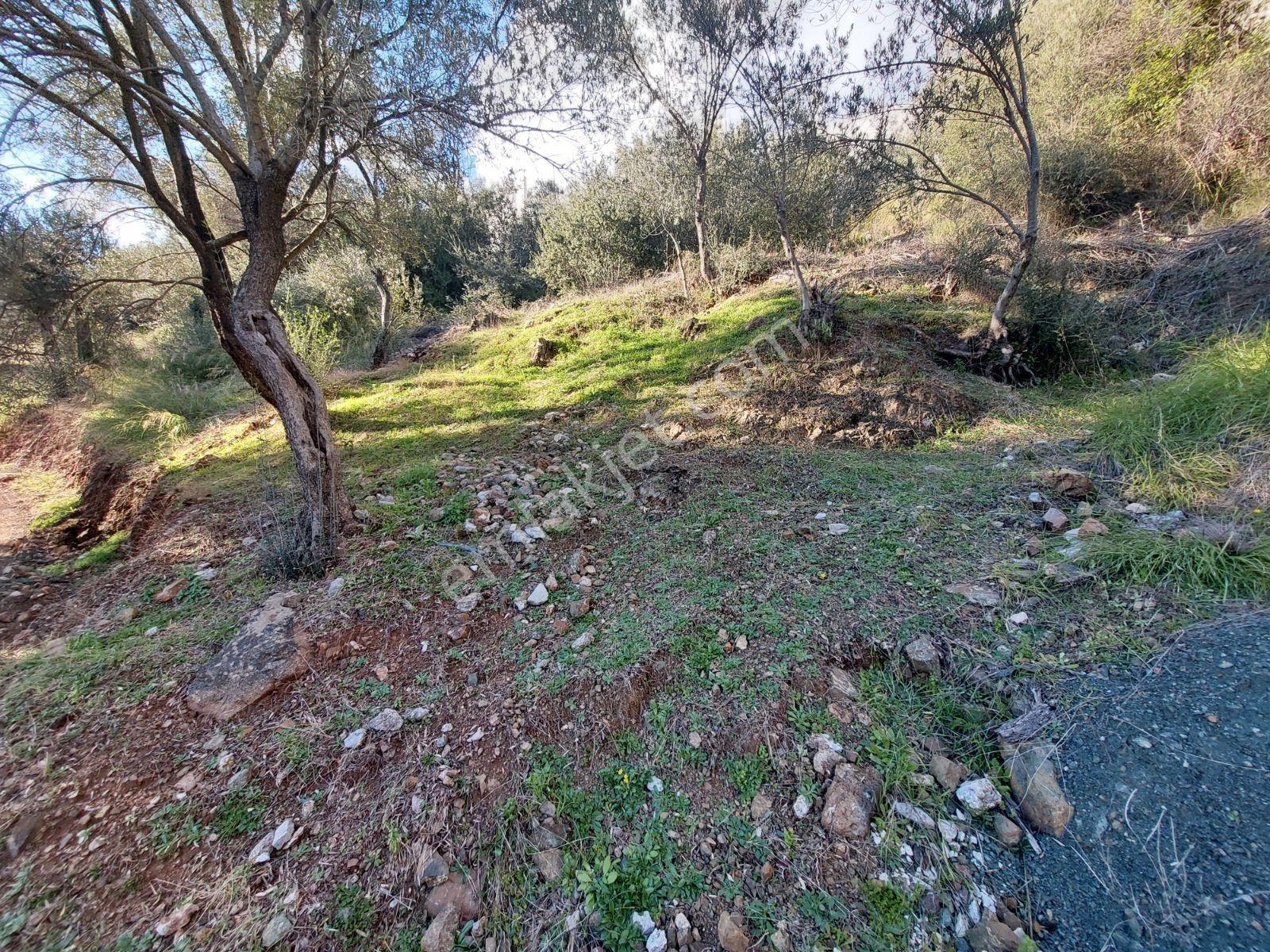 Fethiye İnlice Mh.de Satılık Mustakil 1405m2 Gayrimenkul — fotoğraf 16