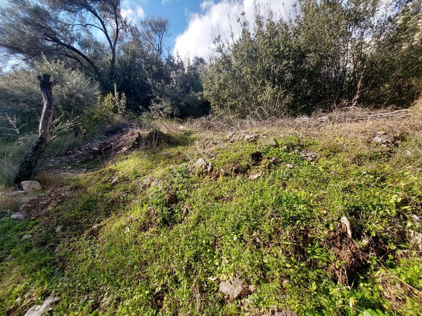 Fethiye İnlice Mh.de Satılık Mustakil 1405m2 Gayrimenkul — fotoğraf 17