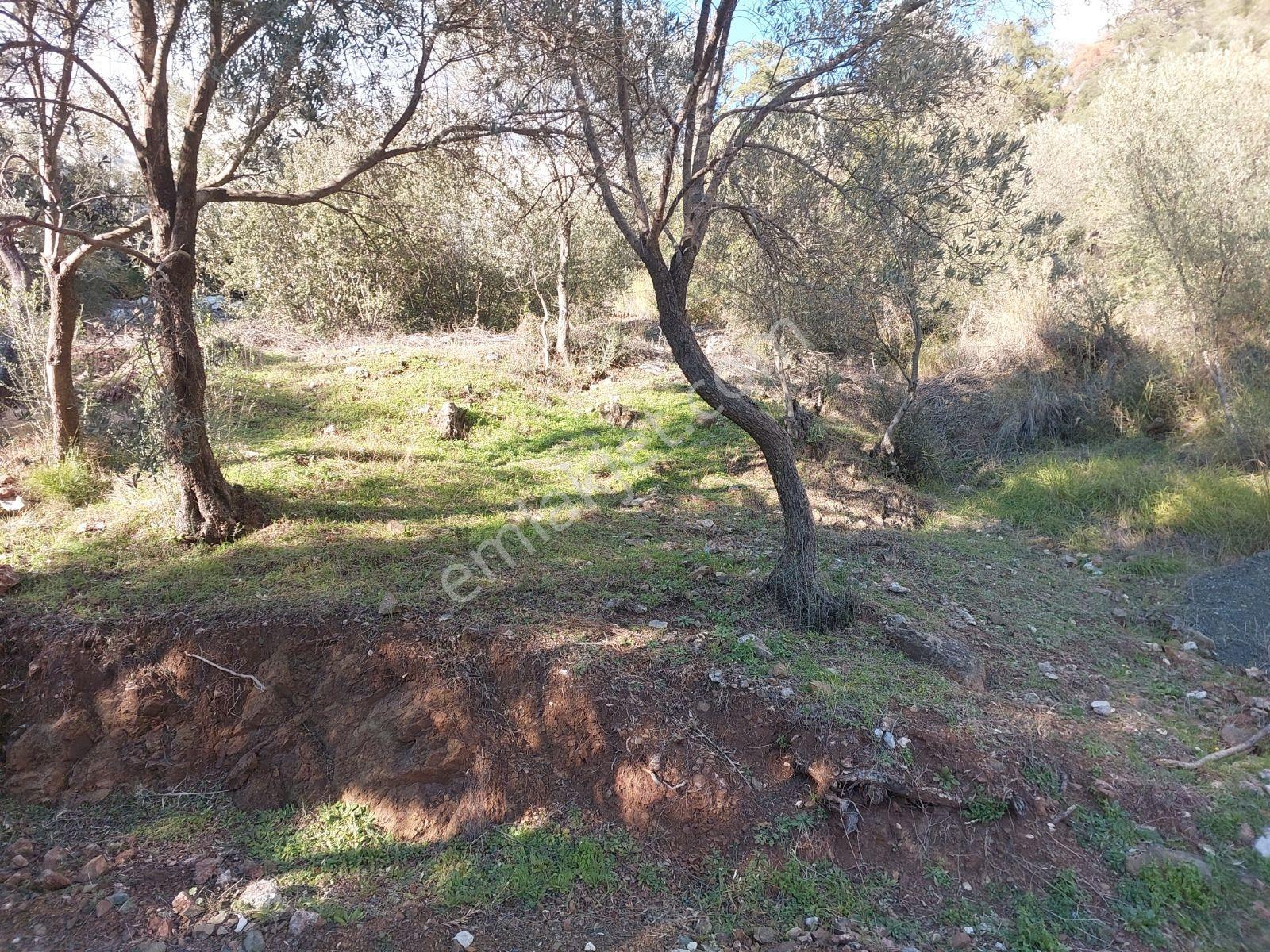 Fethiye İnlice Mh.de Satılık Mustakil 1405m2 Gayrimenkul — fotoğraf 18