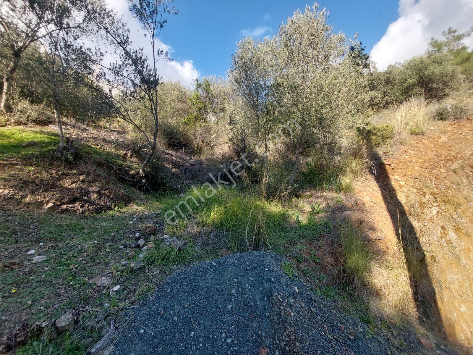 Fethiye İnlice Mh.de Satılık Mustakil 1405m2 Gayrimenkul — fotoğraf 19