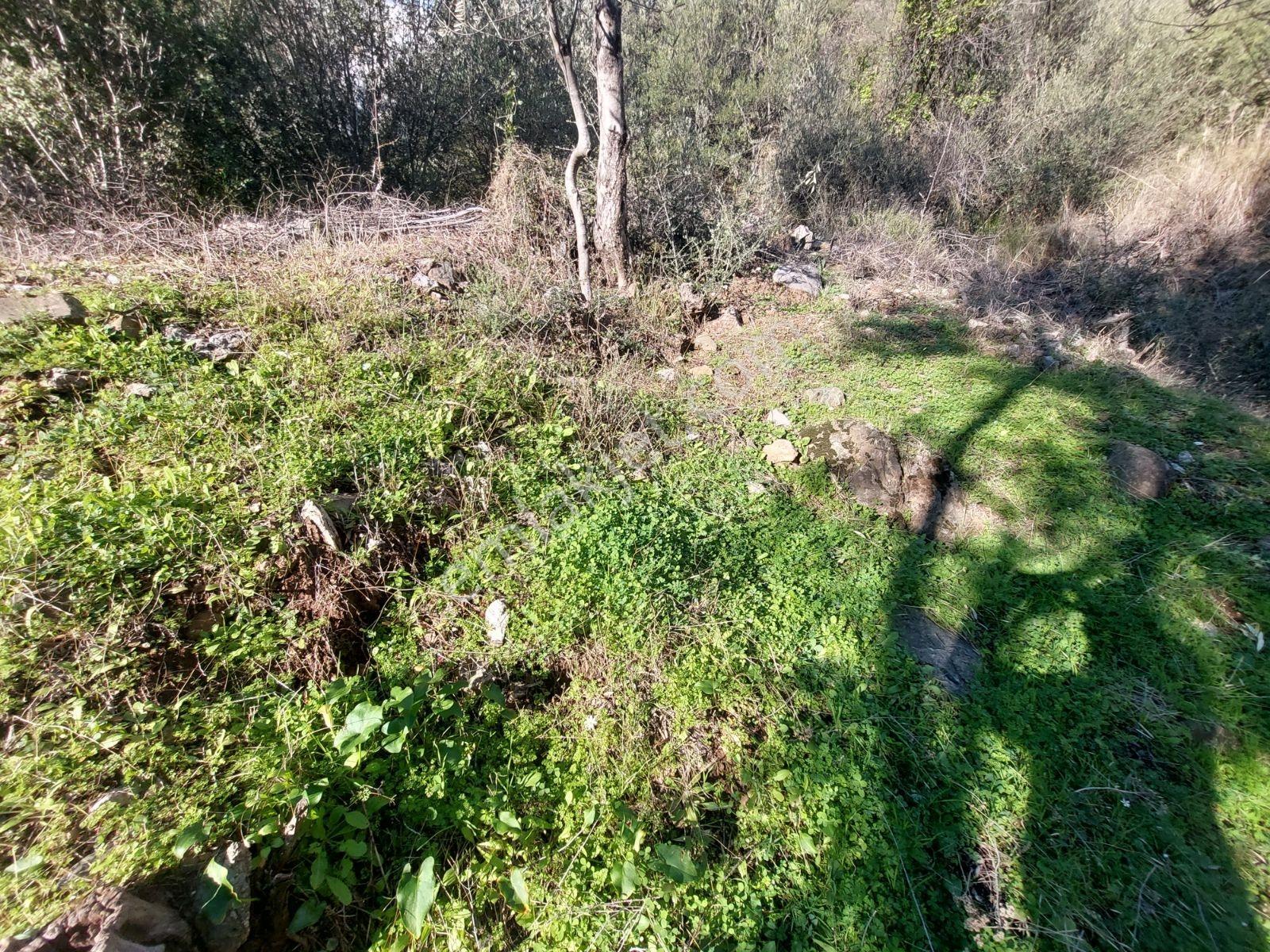 Fethiye İnlice Mh.de Satılık Mustakil 1405m2 Gayrimenkul — fotoğraf 20