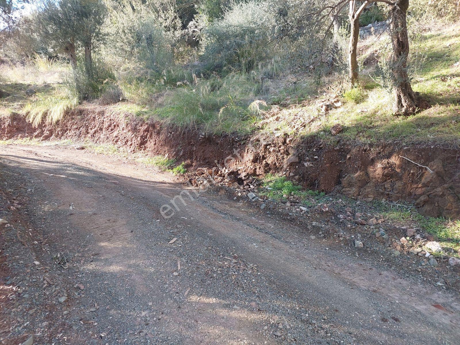 Fethiye İnlice Mh.de Satılık Mustakil 1405m2 Gayrimenkul — fotoğraf 21
