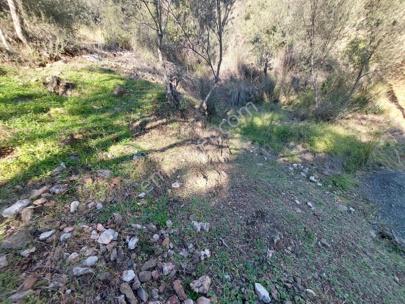 Fethiye İnlice Mh.de Satılık Mustakil 1405m2 Gayrimenkul — fotoğraf 23