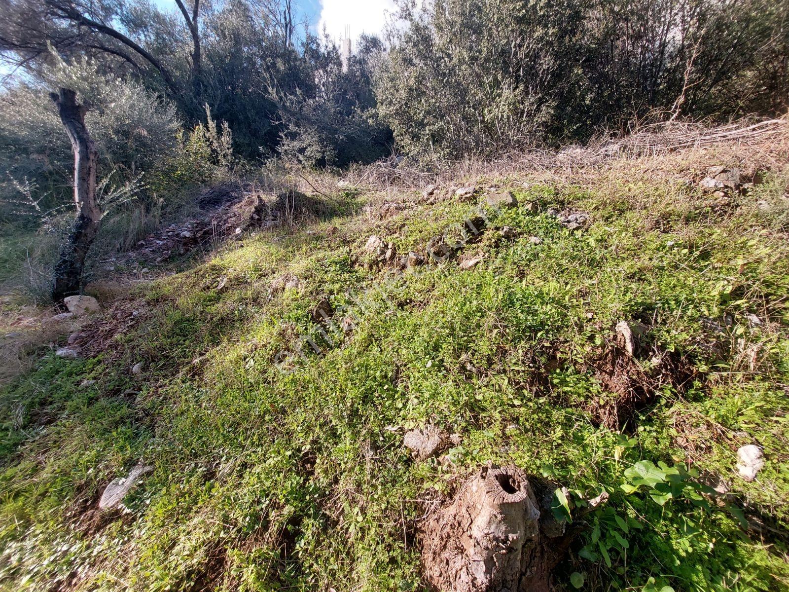Fethiye İnlice Mh.de Satılık Mustakil 1405m2 Gayrimenkul — fotoğraf 24