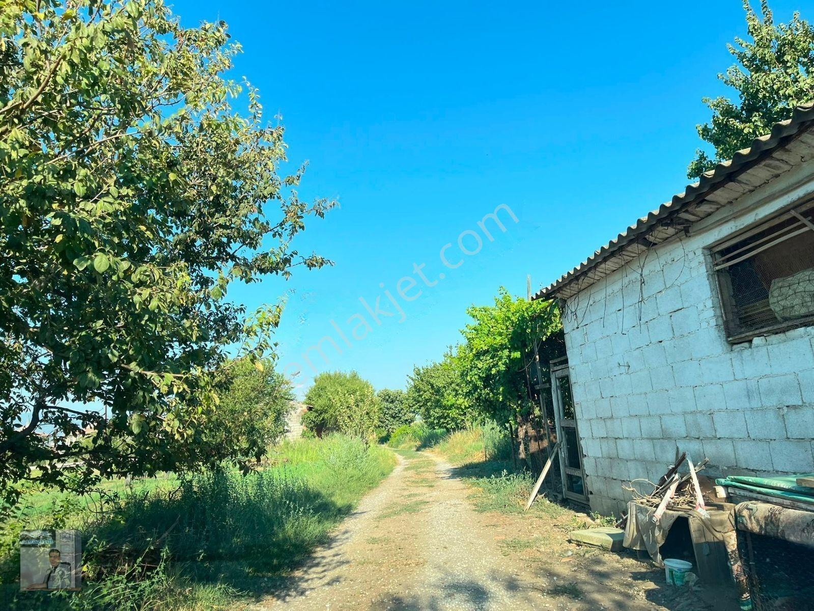 İhtişam Emlaktan Kardeşköy Toki Karşısı 3 Parsel Satılık Bahçe — fotoğraf 10