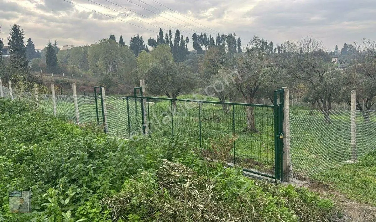 İhtişam Emlak'tan Yalova'da Konut İmarlı Arsa