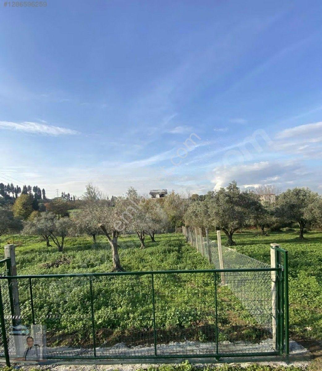 İhtişam Emlak'tan Yalova'da Konut İmarlı Arsa — fotoğraf 3