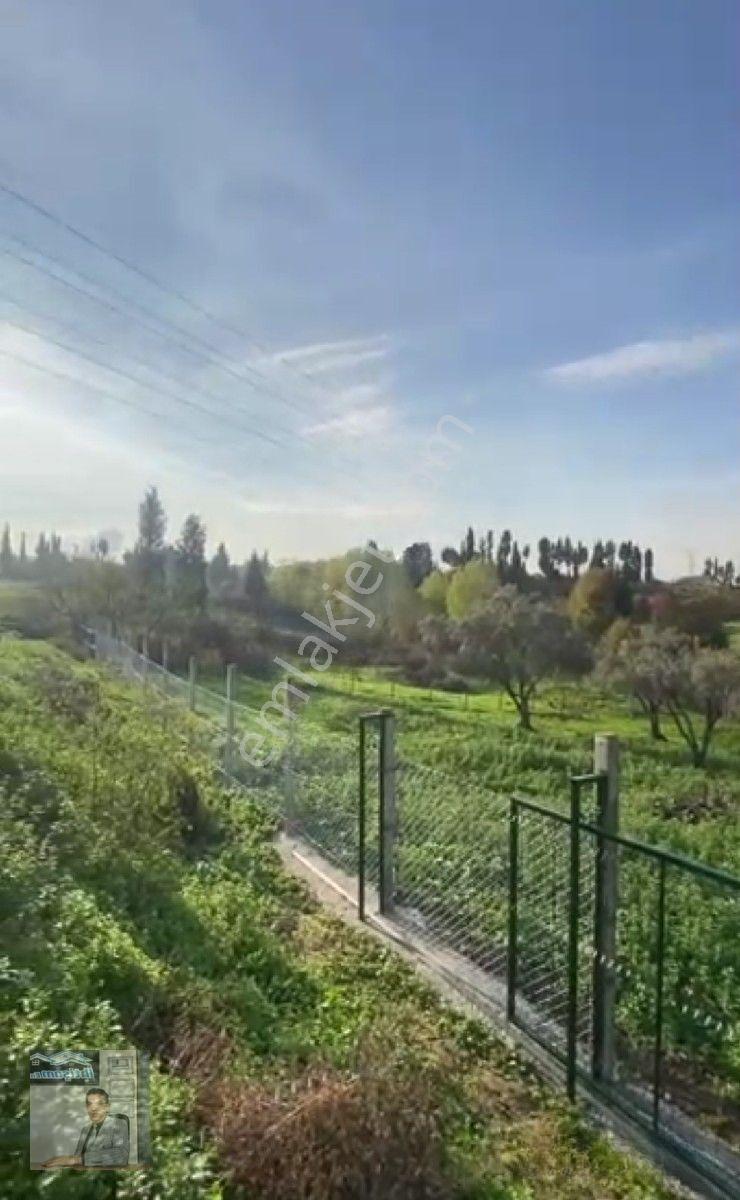 İhtişam Emlak'tan Yalova'da Konut İmarlı Arsa — fotoğraf 4