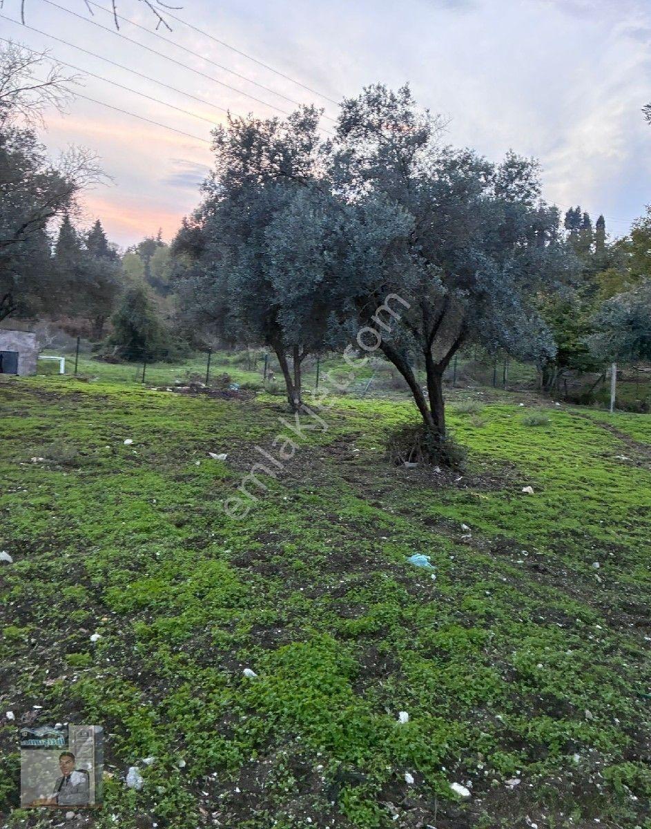 İhtişam Emlak'tan Yalova'da Konut İmarlı Arsa — fotoğraf 5