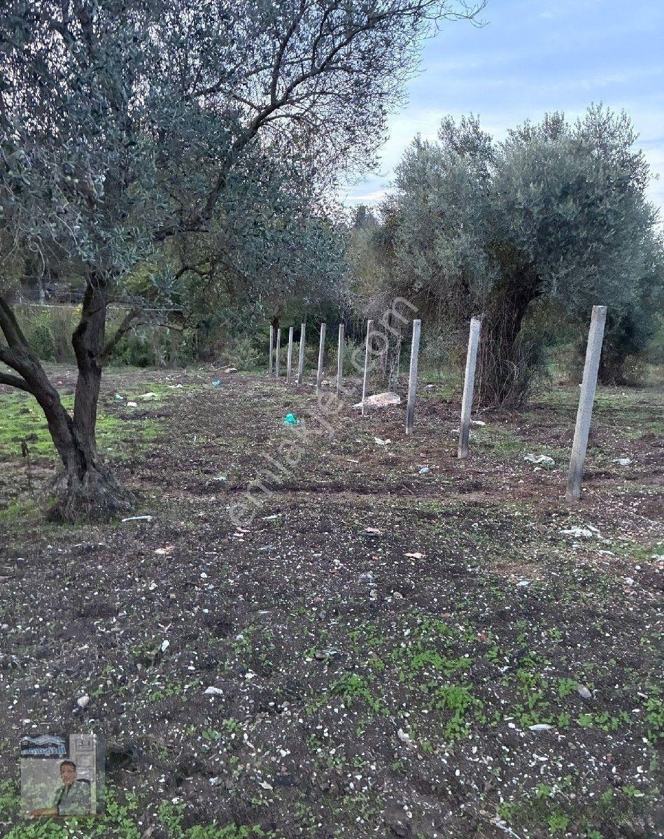 İhtişam Emlak'tan Yalova'da Konut İmarlı Arsa — fotoğraf 6