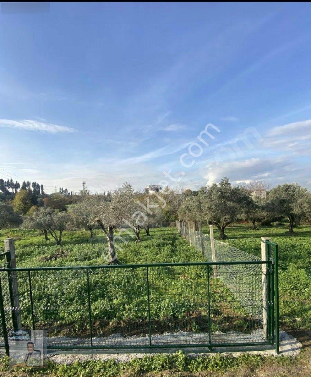 İhtişam Emlak'tan Yalova'da Konut İmarlı Arsa — fotoğraf 7