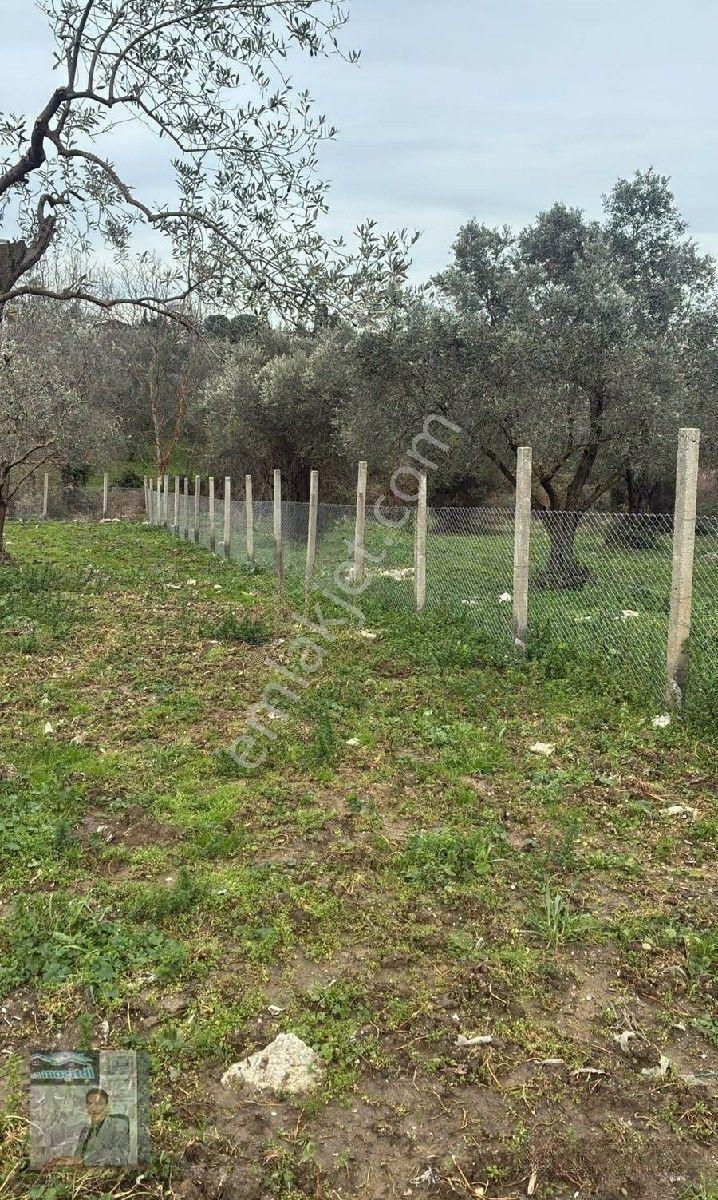 İhtişam Emlak'tan Yalova'da Konut İmarlı Arsa — fotoğraf 10