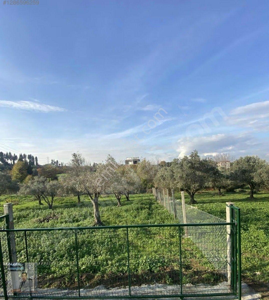İhtişam Emlak'tan Yalova'da Konut İmarlı Arsa — fotoğraf 11