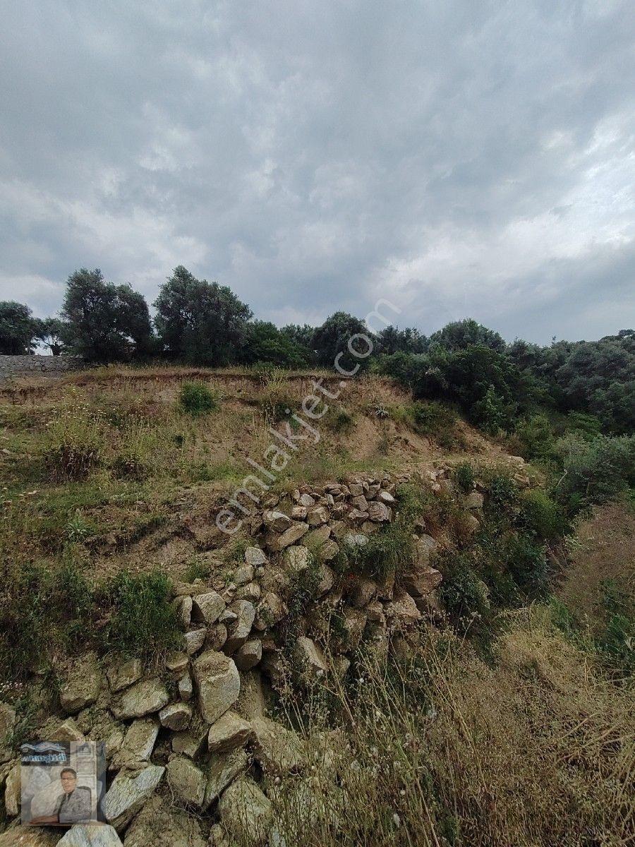 İhtişam Emlâk Gayrimenkul Den Cincin De Satılık Arsa — fotoğraf 6