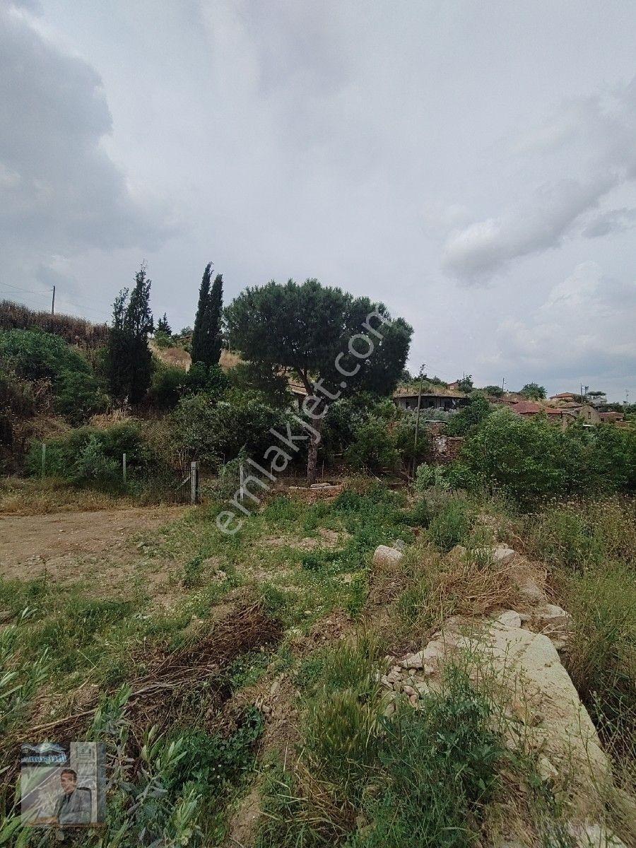İhtişam Emlâk Gayrimenkul Den Cincin De Satılık Arsa — fotoğraf 8