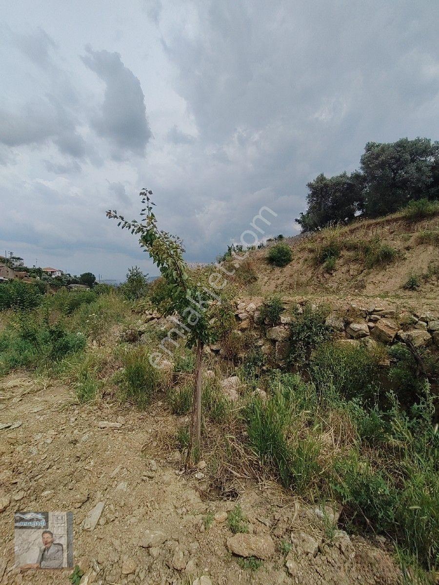 İhtişam Emlâk Gayrimenkul Den Cincin De Satılık Arsa — fotoğraf 12