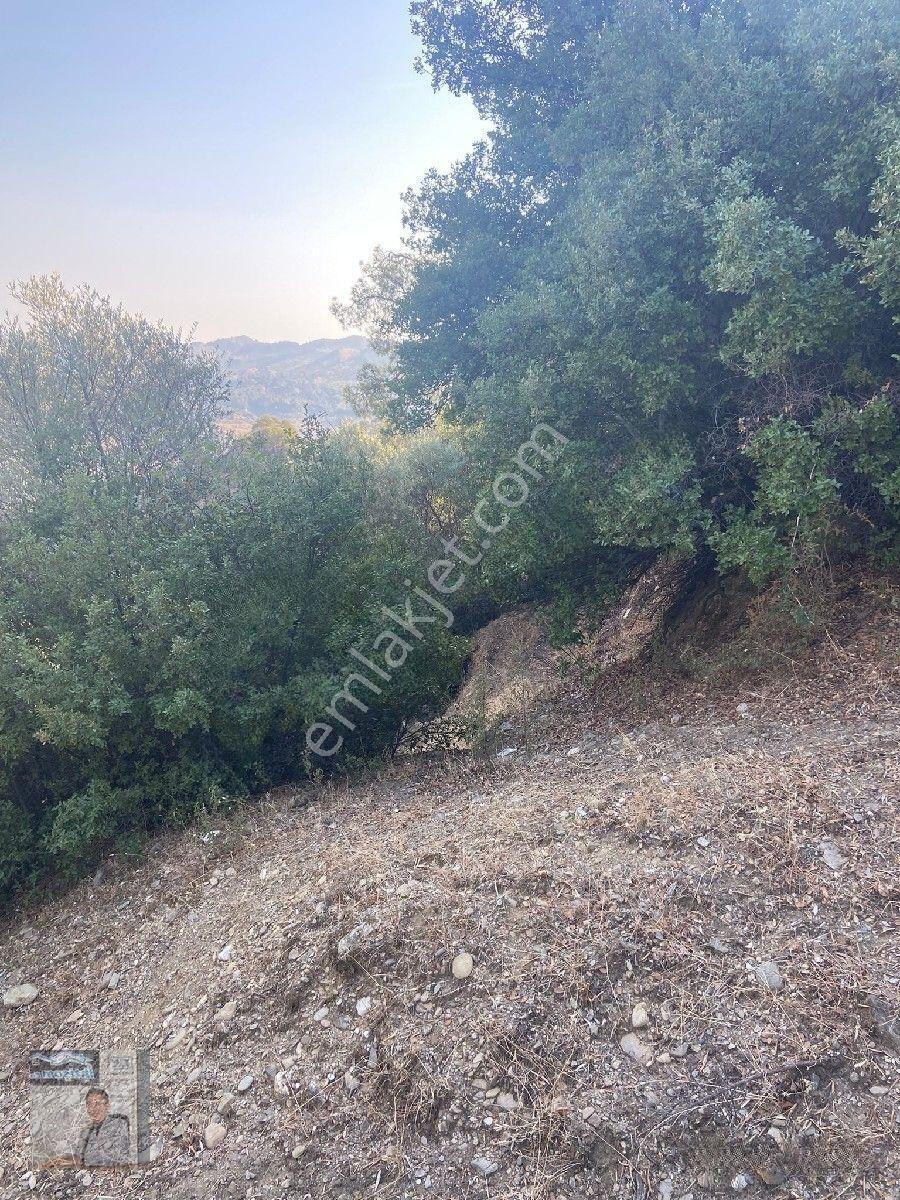 İhtişam Emlâk'tan İkizdere De Zeytinlik — fotoğraf 6