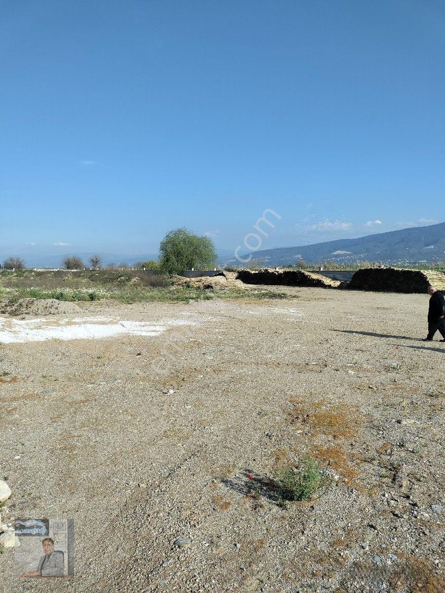 İhtişam Emlaktan Umurluda Ana Cadde Üzeri İşletme Yapmaya Uygun Satılık Tarla — fotoğraf 11
