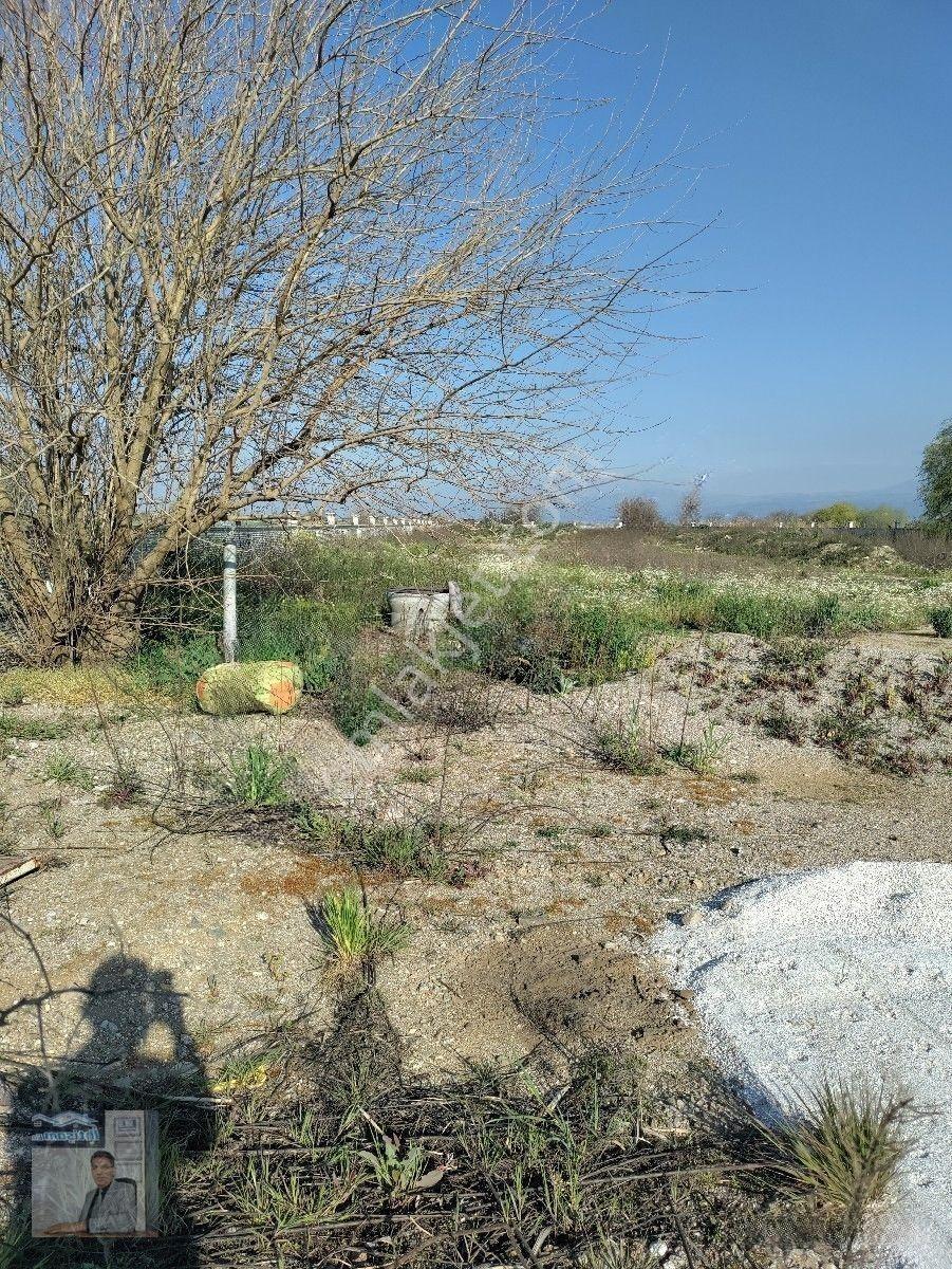 İhtişam Emlaktan Umurluda Ana Cadde Üzeri İşletme Yapmaya Uygun Satılık Tarla — fotoğraf 13