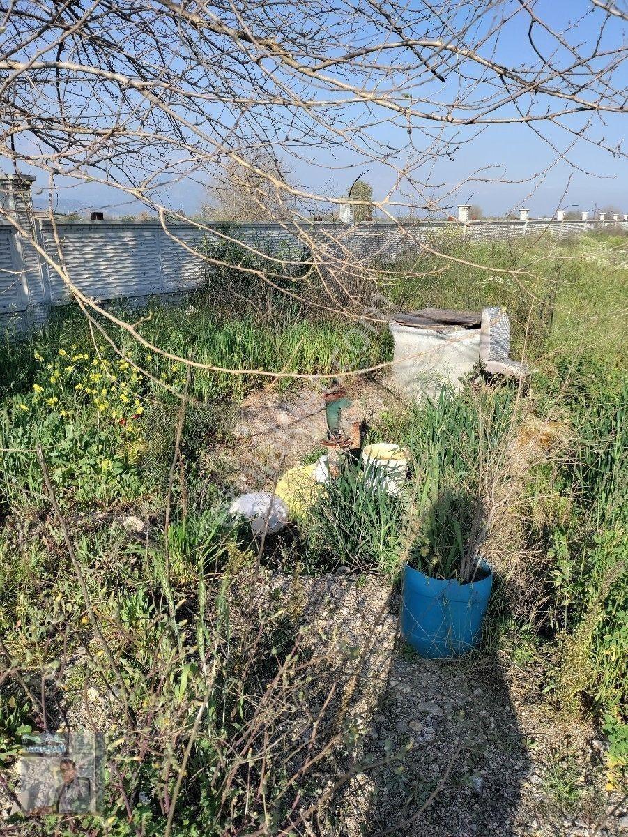 İhtişam Emlaktan Umurluda Ana Cadde Üzeri İşletme Yapmaya Uygun Satılık Tarla — fotoğraf 14