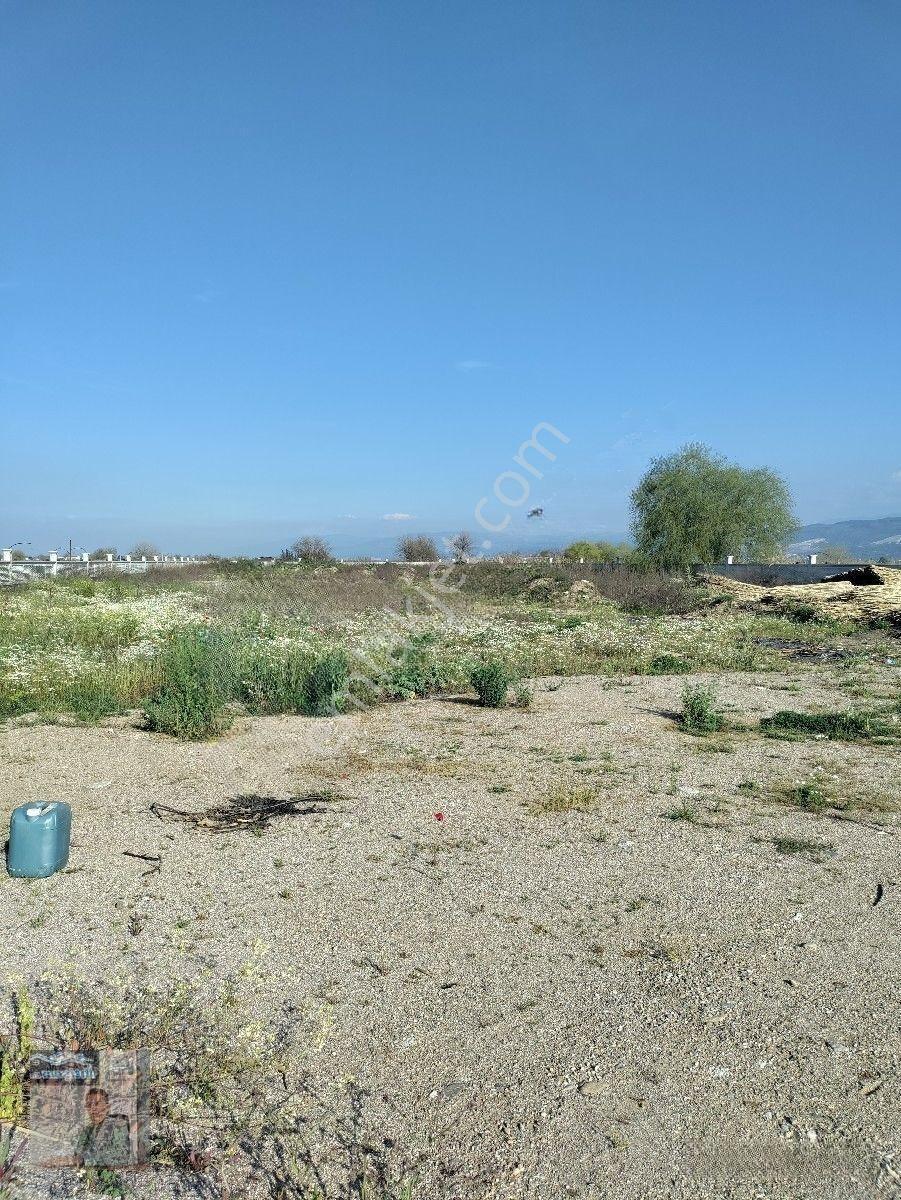 İhtişam Emlaktan Umurluda Ana Cadde Üzeri İşletme Yapmaya Uygun Satılık Tarla — fotoğraf 15