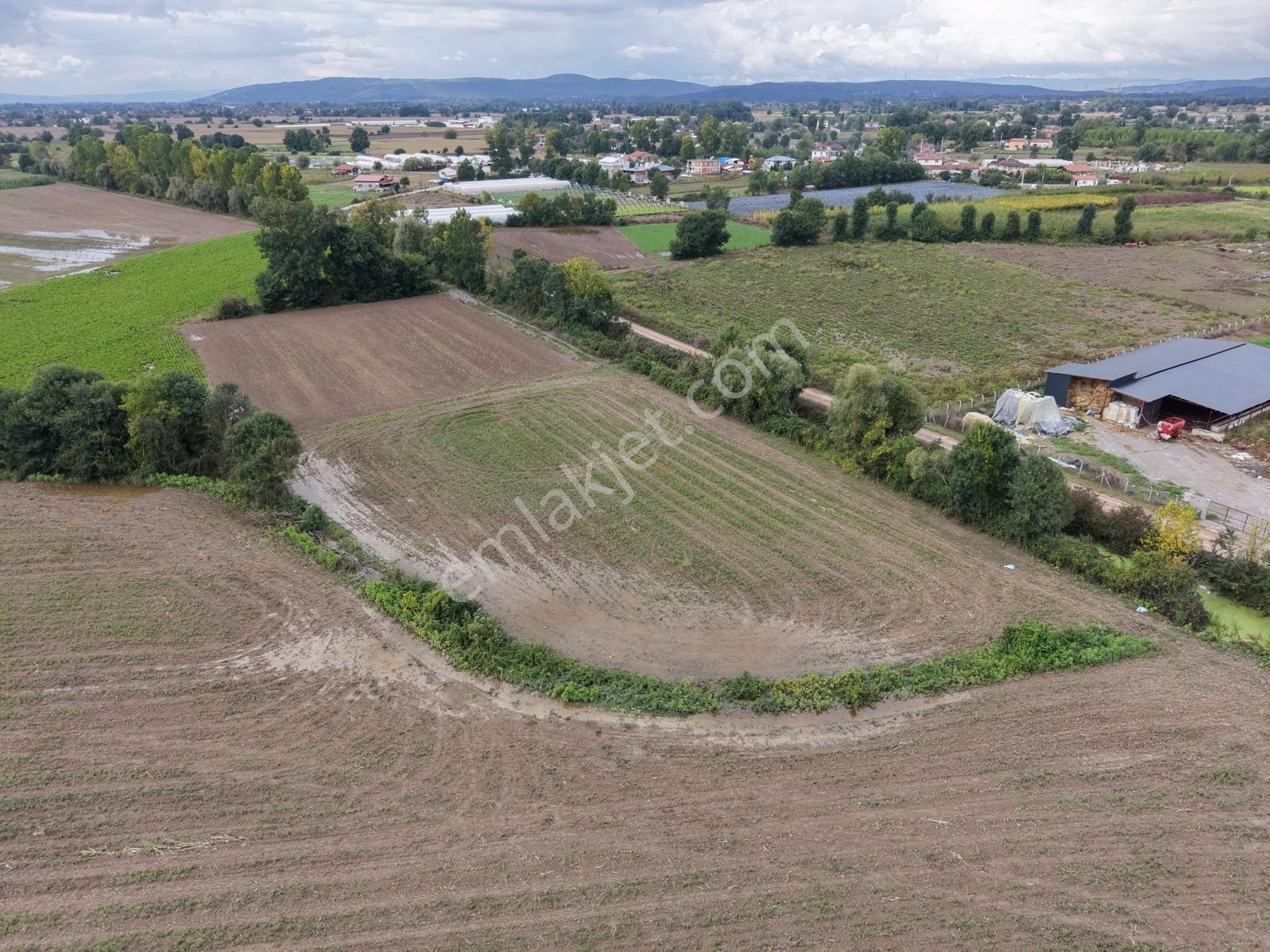 Adapazarı Yeşilyurtta 3800m2 Kaçırılmayacak Fırsat — fotoğraf 16