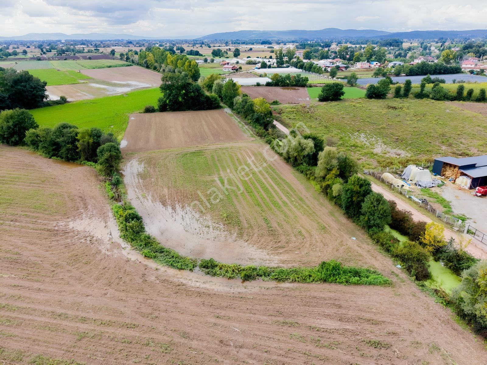 Adapazarı Yeşilyurtta 3800m2 Kaçırılmayacak Fırsat — fotoğraf 17