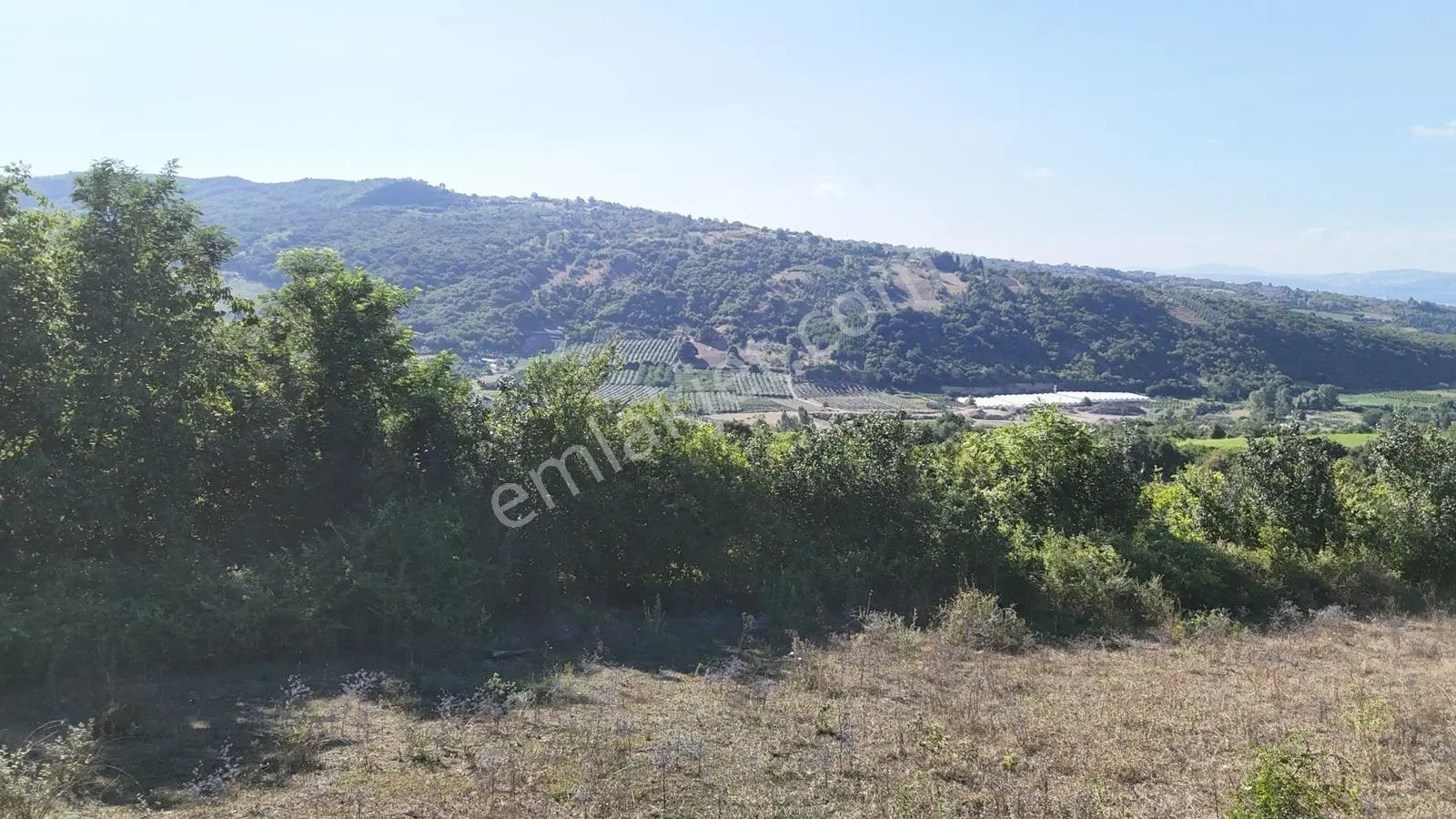Rota'dan Altınova Ayazma'da 9 Dönüm Satılık Arazi ! — fotoğraf 11