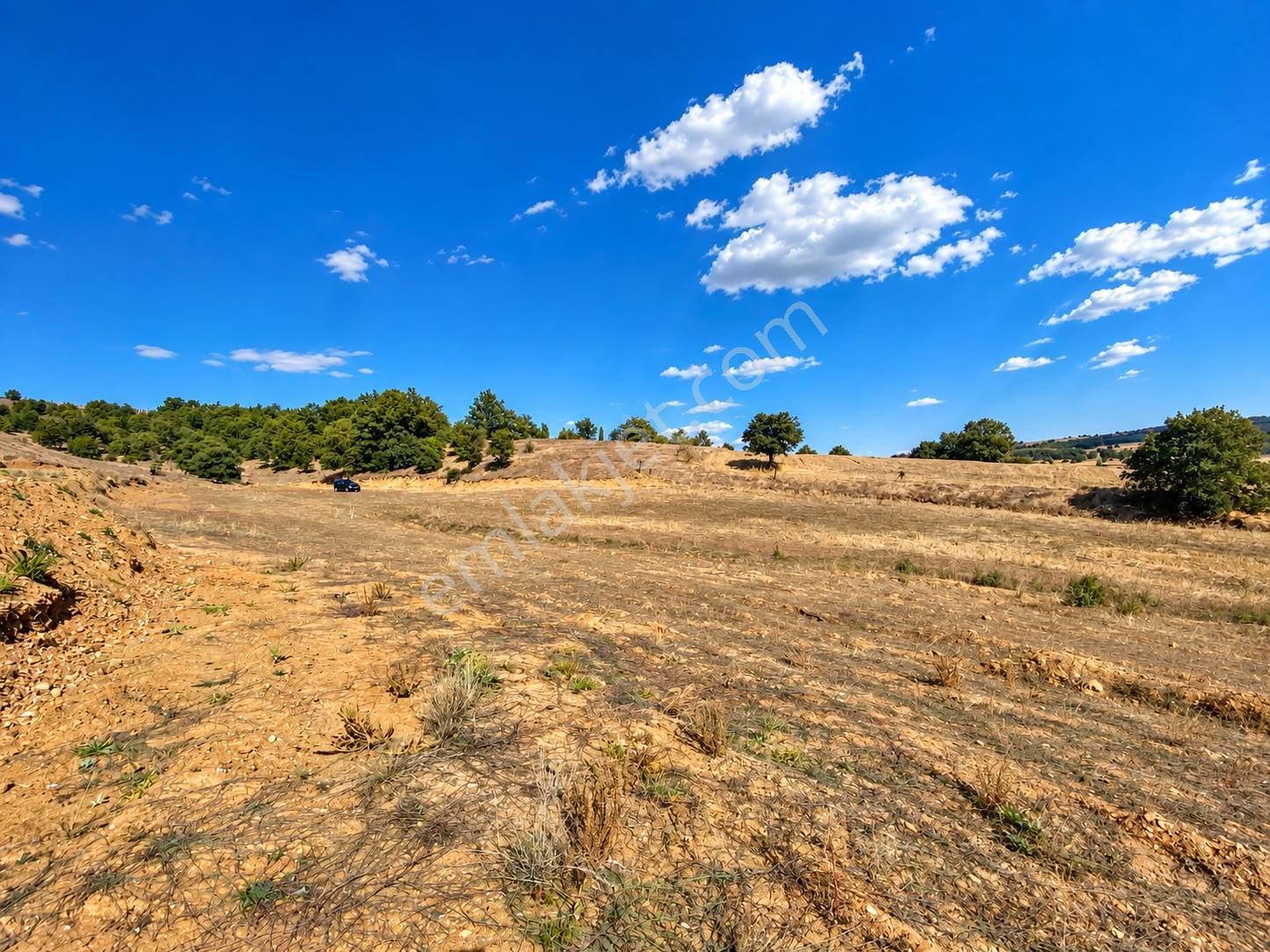 Bozüyük Karabayırda Meraya Cephe 8.584 M² Kupon Arazi — fotoğraf 3