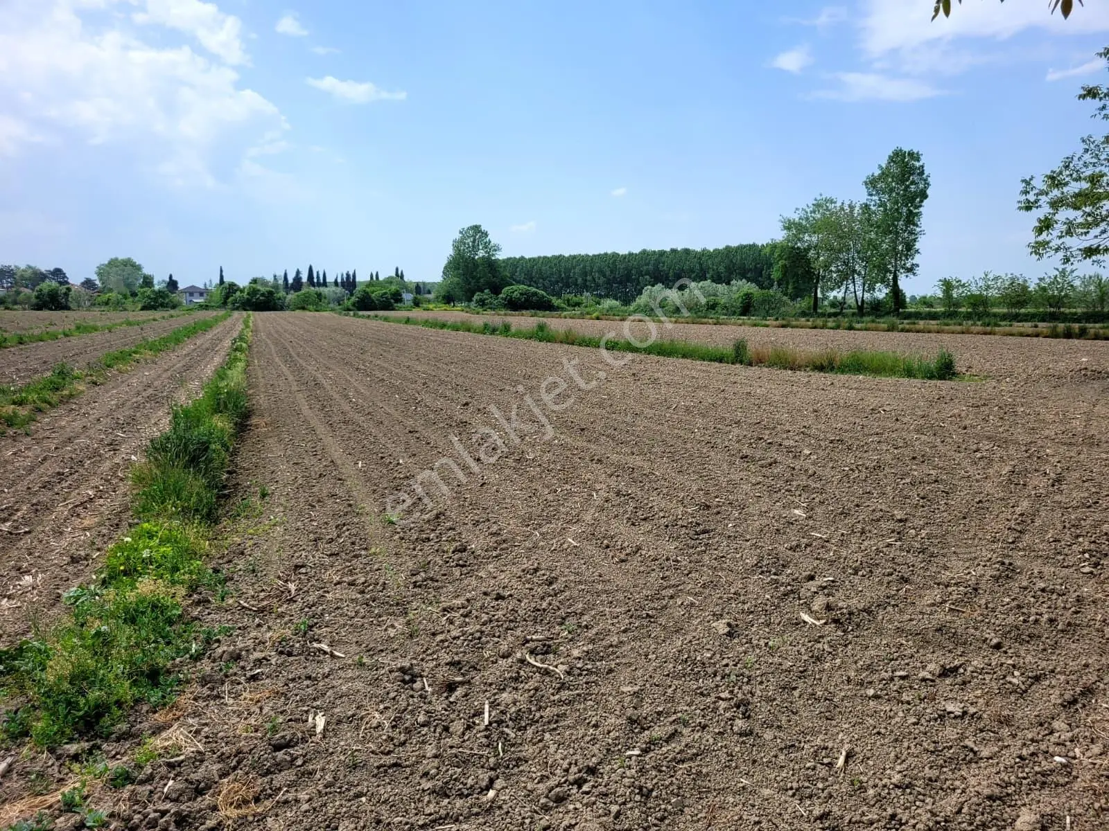 Akyazı Uzunçınar'da Yolu Olan Köye Yakın 2945m² Satılık Tarla... — fotoğraf 2