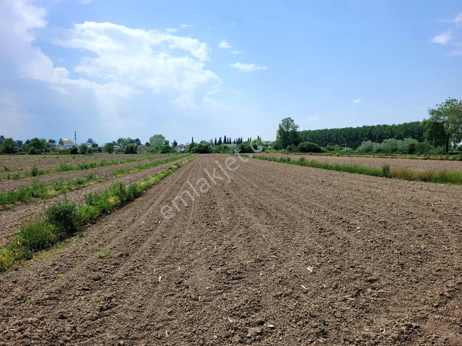 Akyazı Uzunçınar'da Yolu Olan Köye Yakın 2945m² Satılık Tarla... — fotoğraf 4