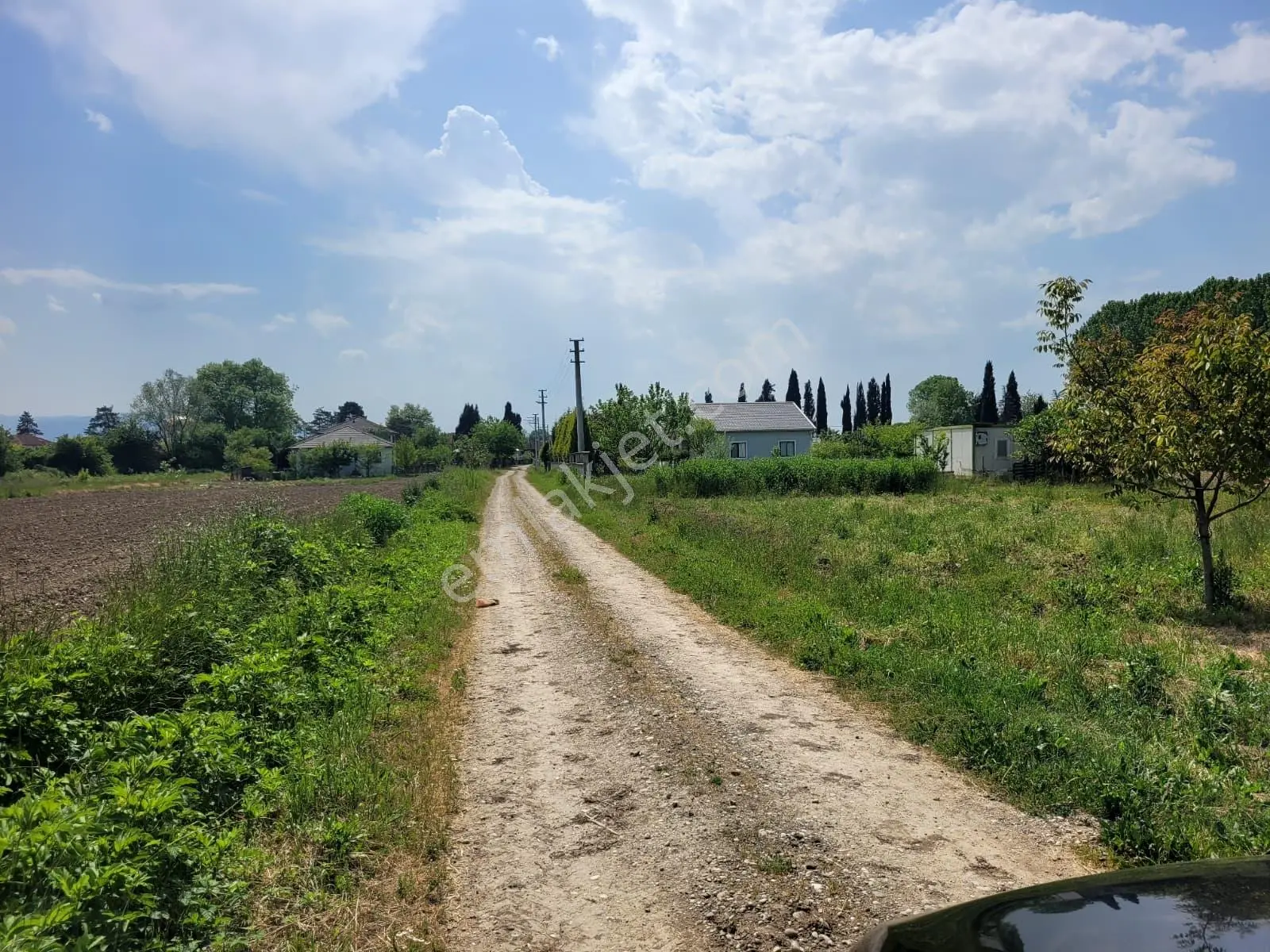 Akyazı Uzunçınar'da Yolu Olan Köye Yakın 2945m² Satılık Tarla... — fotoğraf 6