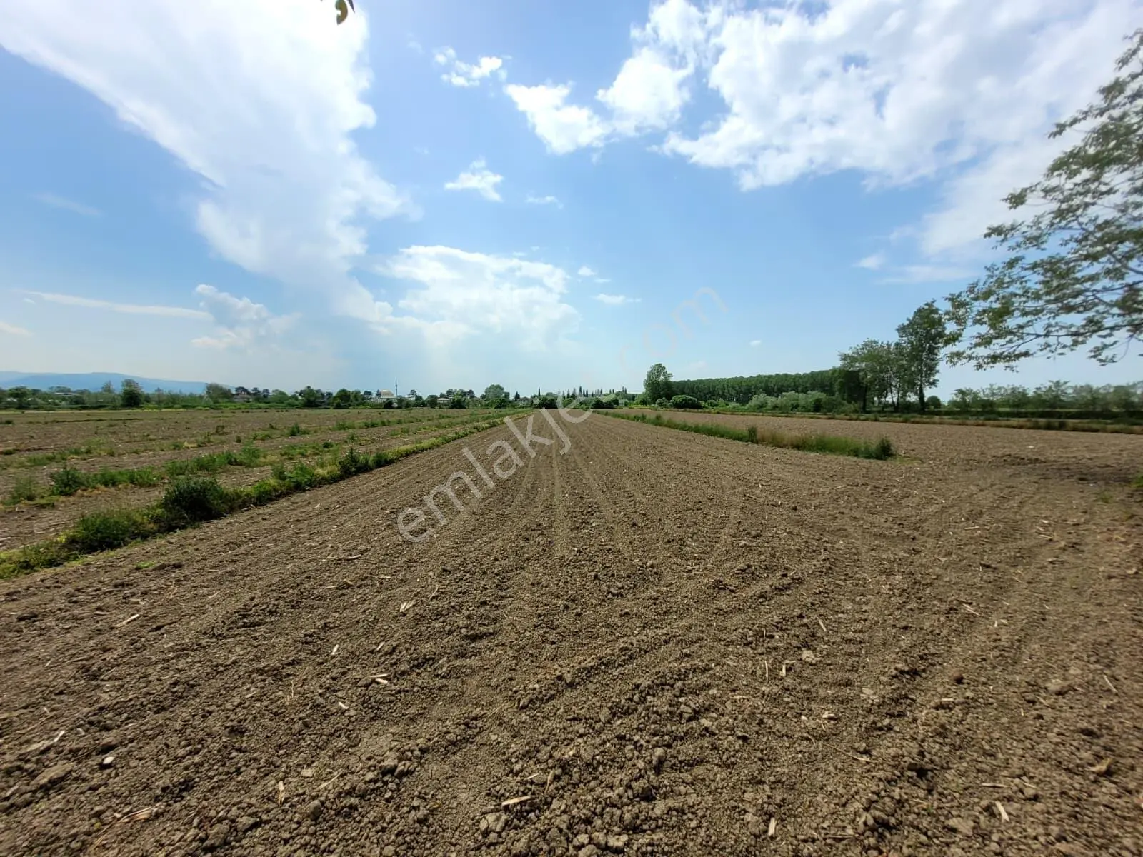 Akyazı Uzunçınar'da Yolu Olan Köye Yakın 2945m² Satılık Tarla... — fotoğraf 9