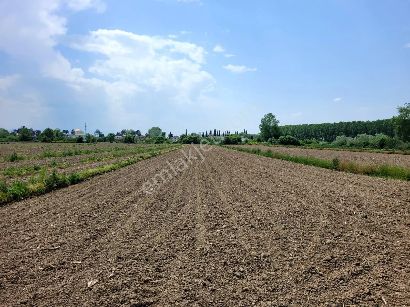 Akyazı Uzunçınar'da Yolu Olan Köye Yakın 2945m² Satılık Tarla... — fotoğraf 11
