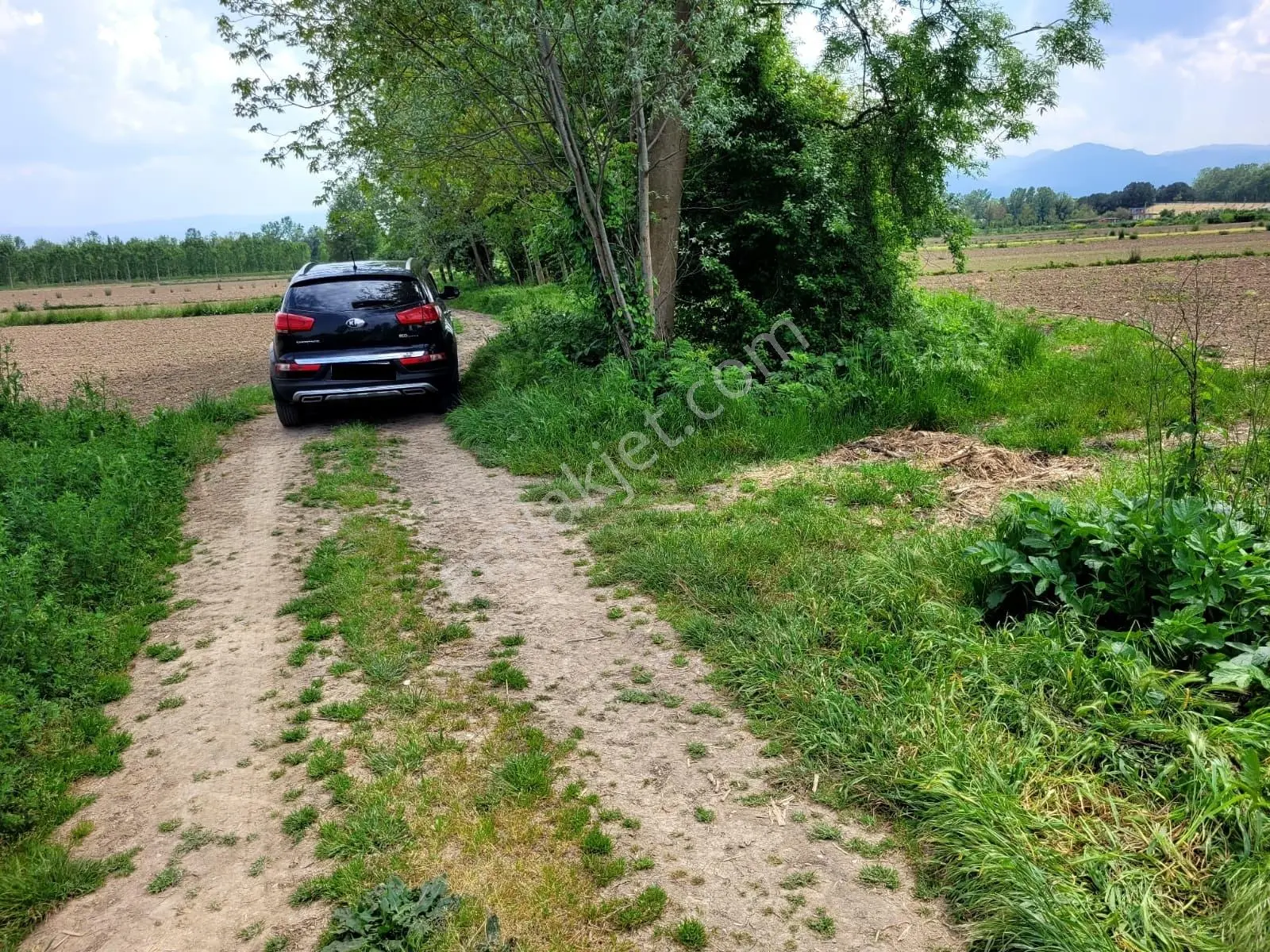 Akyazı Uzunçınar'da Yolu Olan Köye Yakın 2945m² Satılık Tarla... — fotoğraf 12