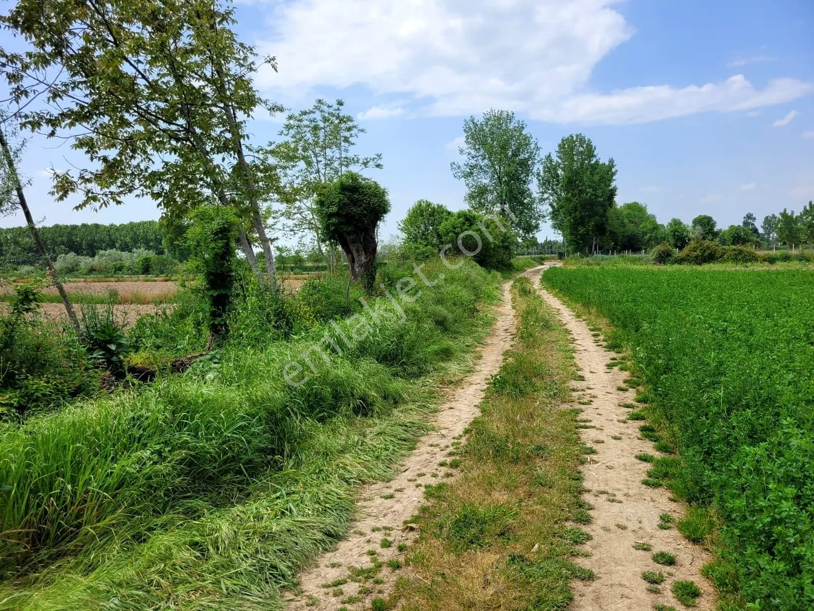 Akyazı Uzunçınar'da Yolu Olan Köye Yakın 2945m² Satılık Tarla... — fotoğraf 13