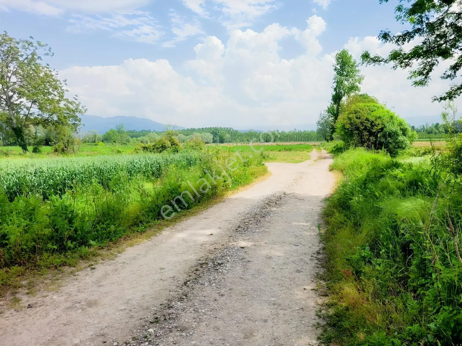 Akyazı Uzunçınar'da Yolu Olan Köye Yakın 2945m² Satılık Tarla... — fotoğraf 16