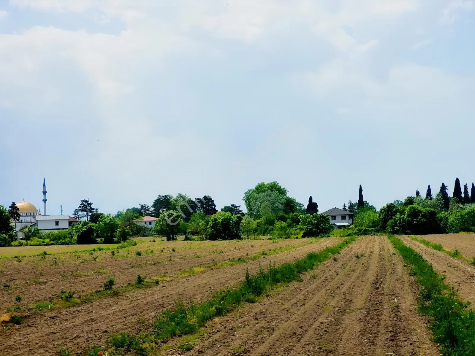Akyazı Uzunçınar'da Yolu Olan Köye Yakın 2945m² Satılık Tarla... — fotoğraf 17