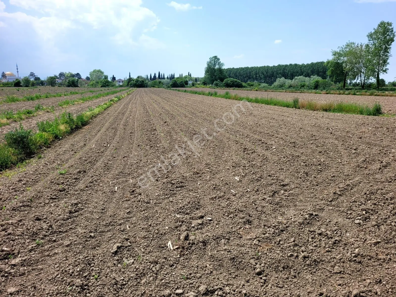 Akyazı Uzunçınar'da Yolu Olan Köye Yakın 2945m² Satılık Tarla... — fotoğraf 19