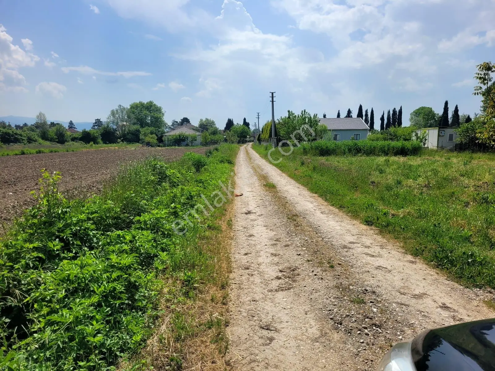 Akyazı Uzunçınar'da Yolu Olan Köye Yakın 2945m² Satılık Tarla... — fotoğraf 20
