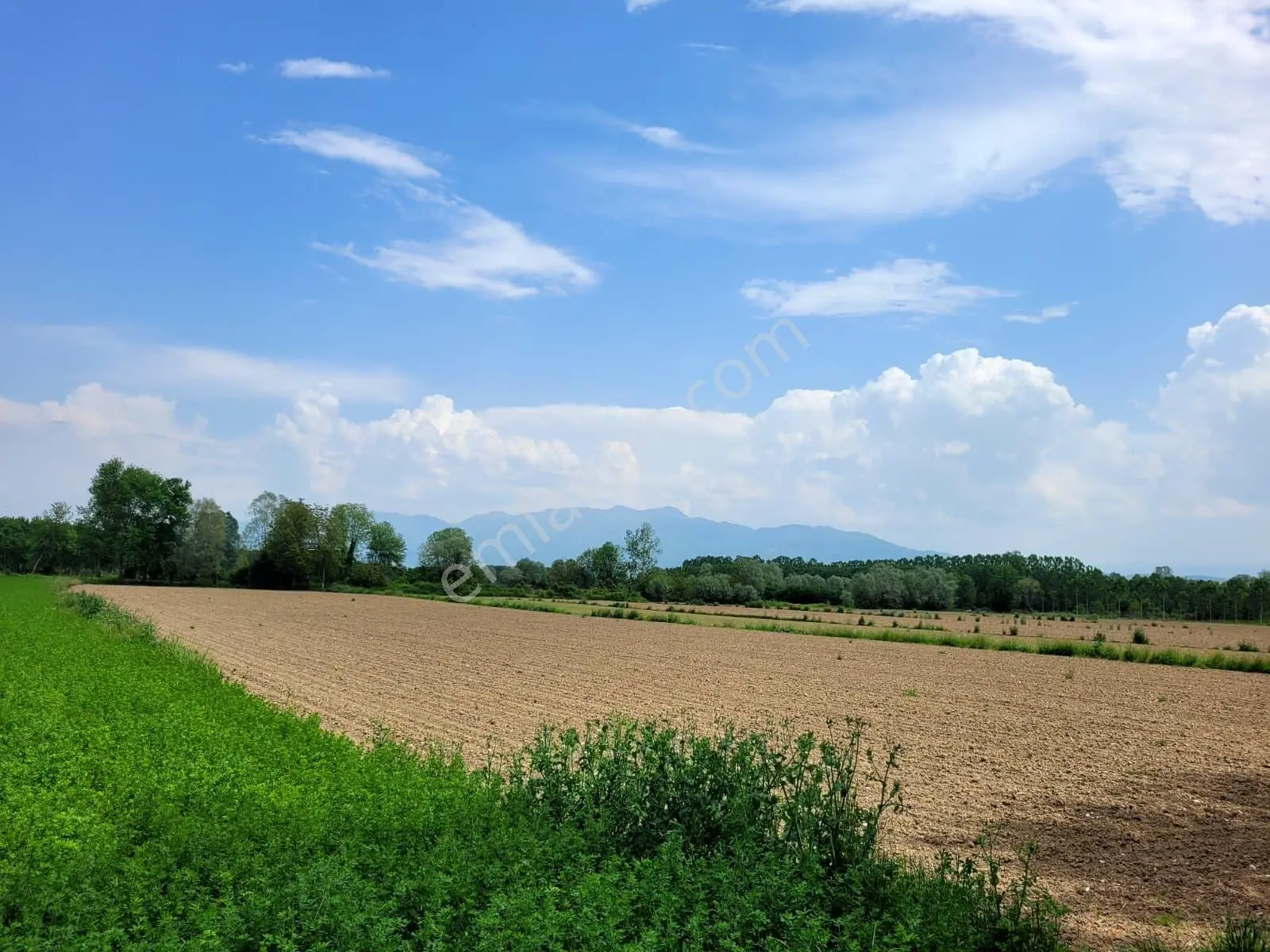 Akyazı Uzunçınar'da Yolu Olan Köye Yakın 2945m² Satılık Tarla... — fotoğraf 21