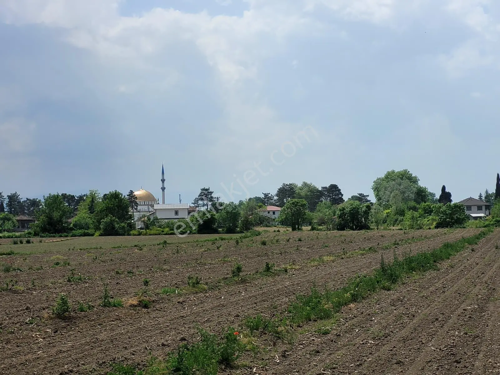 Akyazı Uzunçınar'da Yolu Olan Köye Yakın 2945m² Satılık Tarla... — fotoğraf 25
