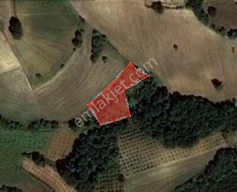 Konutix'ten Kandıra Sarıgazi'de Yatırımlık Arazi — fotoğraf 2