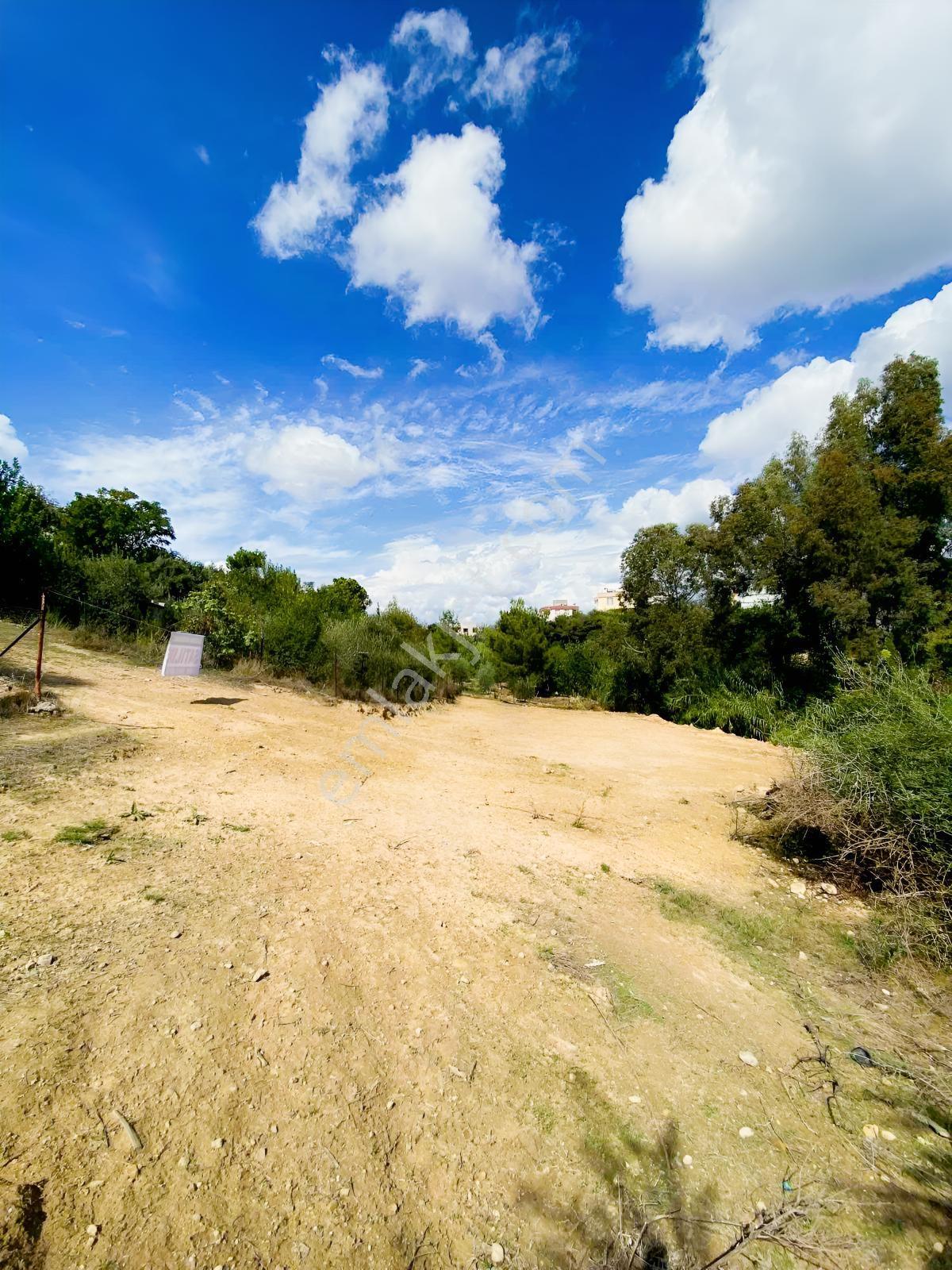 Kozangayrimenkul Den Tavşantepe De 491 M2 Arsa — fotoğraf 2