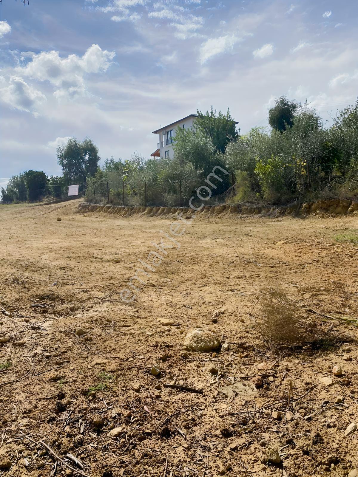 Kozangayrimenkul Den Tavşantepe De 491 M2 Arsa — fotoğraf 4