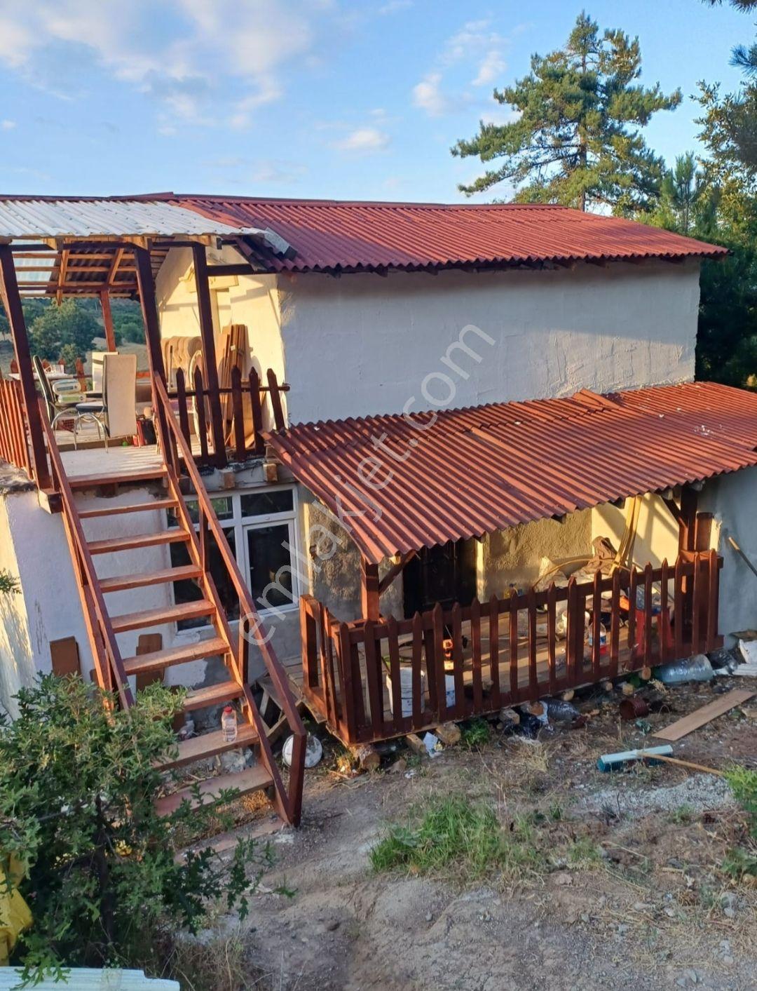 Geyve Hisarlık Ta 4999,m2+4000,m2 Fındık Bahçesi — fotoğraf 5