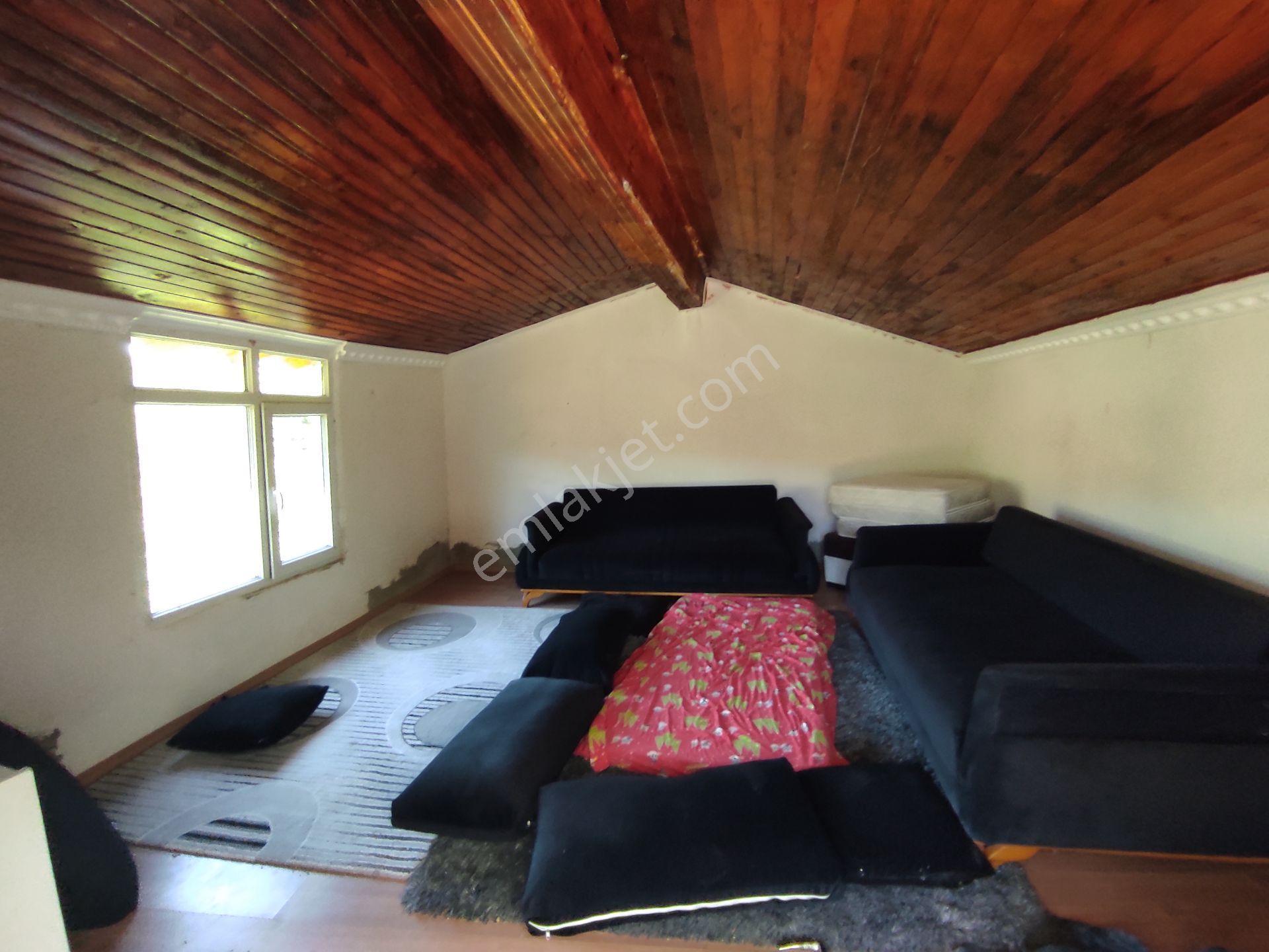 Geyve Hisarlık Ta 4999,m2+4000,m2 Fındık Bahçesi — fotoğraf 6