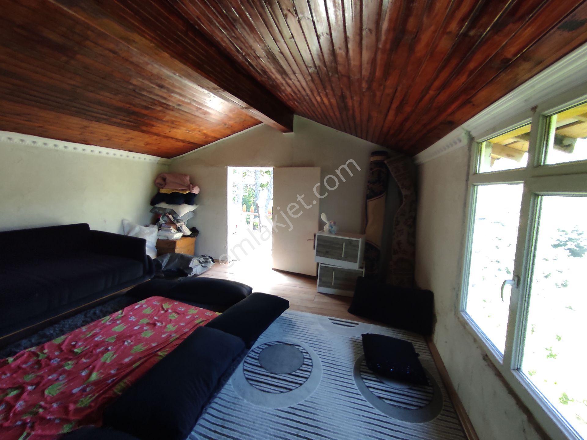 Geyve Hisarlık Ta 4999,m2+4000,m2 Fındık Bahçesi — fotoğraf 7