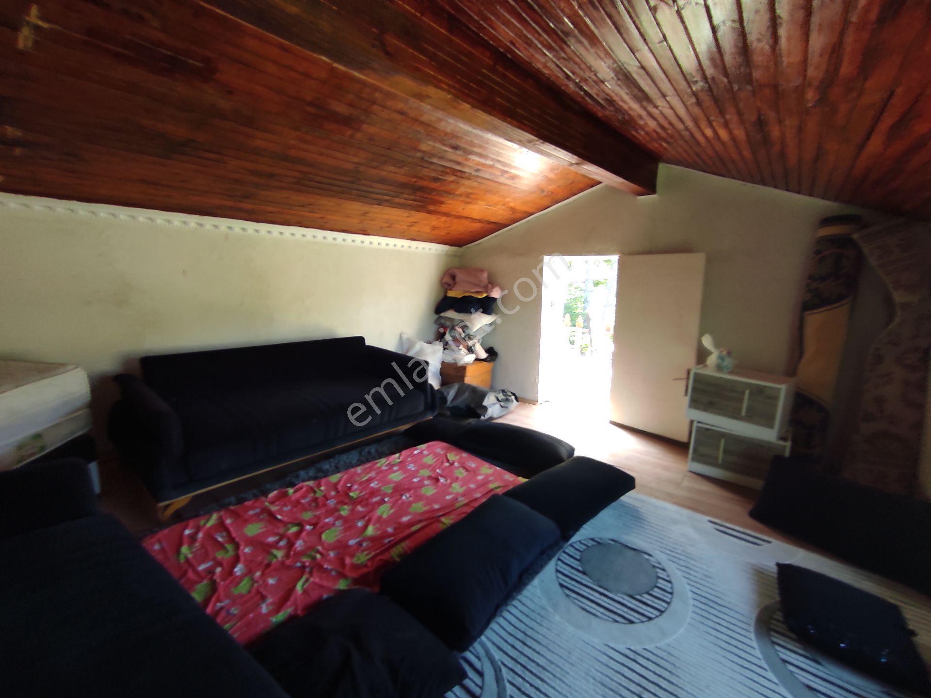 Geyve Hisarlık Ta 4999,m2+4000,m2 Fındık Bahçesi — fotoğraf 8